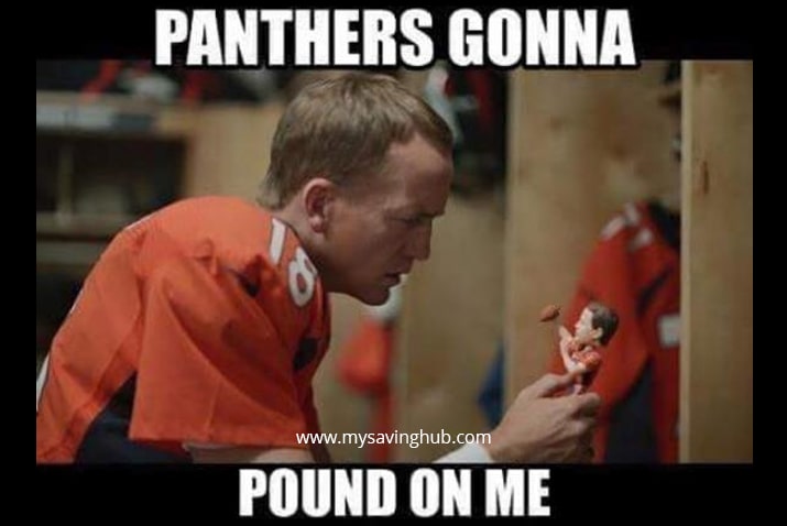 panther super bowl meme